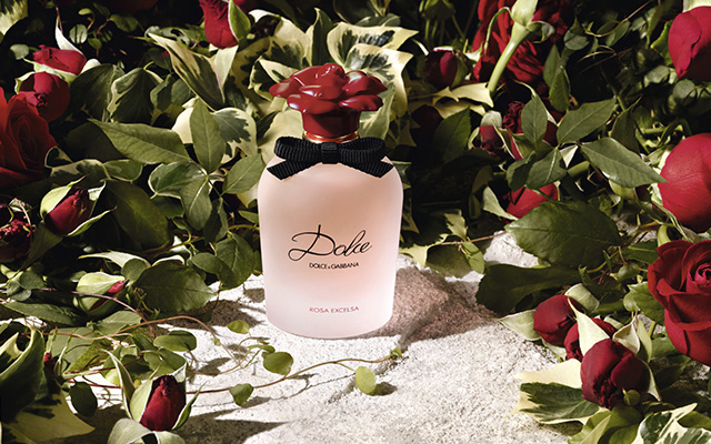 dolce gabbana rose excelsa